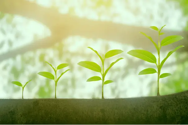 Vooruitgang boeken werkt motiverend