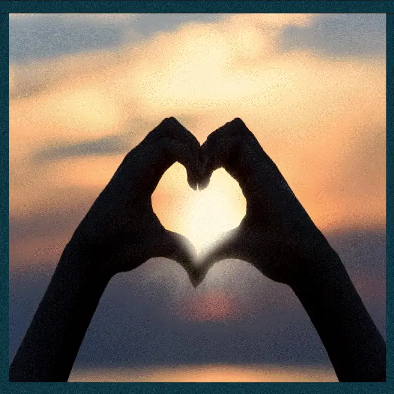 waarderend onderzoeken