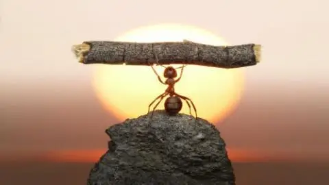 De maakindustrie heeft nieuw leiderschap nodig