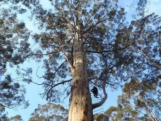 Waarderend leiderschap: een taal voor het leven