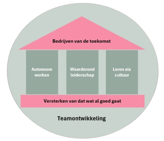 Teamontwikkeling, op basis van een model met waarderend onderzoeken, als basis, autonoom werken, waarderend leiderschap en leren als cultuur als pijlers en een gedeeld toekomst over de organisatie van de toekomst